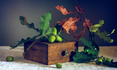 meşe ve meşe palamutları dalı ile natürmort. Vintage.