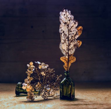 Kurutulmuş çiçek ve yaprakları ile natürmort. Vintage. Retro.