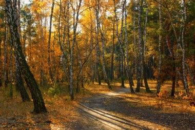 Sonbahar skeçler. manzara. sonbahar renkleri.