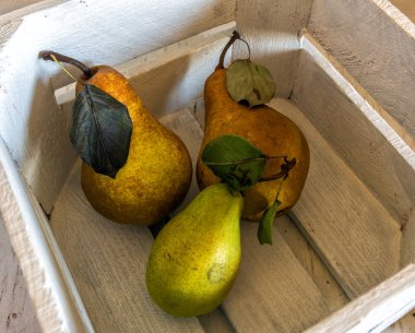 armut ile natürmort. meyve. Gıda.