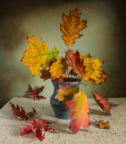 Nature Morte Avec Des Feuilles Automne Branche Chêne Couleurs Automne — Photo