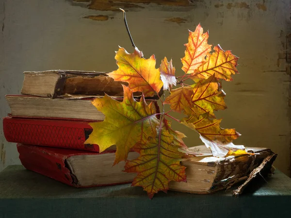 Still Life Books Autumn Leaves Autumn Colors Oak Branch — Stock Photo, Image