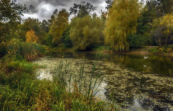 Přepínač Šířku Řeka Jezero Rybník Stromy Uloženo Podzim — Stock fotografie