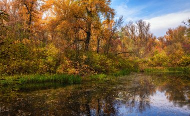 sonbahar günü suya yakın kıyısında. yolculuk. tefekkür. kontrolünün.