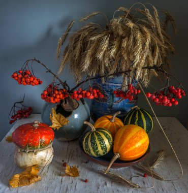 kabak, rowan, spikelets buğday ve sonbahar yaprakları ile natürmort. Vintage