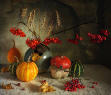 kabak, rowan, spikelets buğday ve sonbahar yaprakları ile natürmort. Vintage