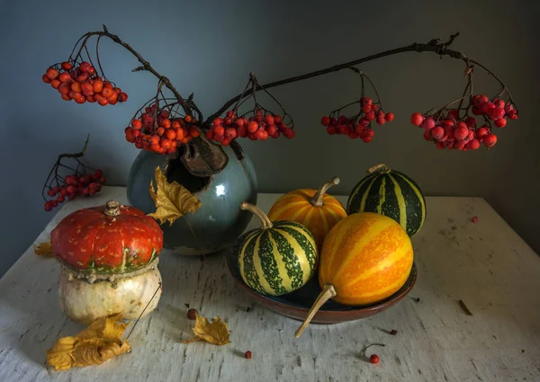 Nature Morte Avec Des Feuilles Citrouille Rowan Automne Vintage — Photo