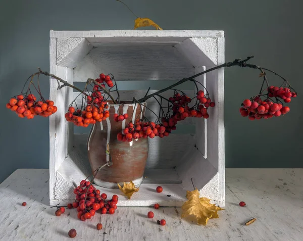 Stillleben Mit Eberesche Jahrgang Strauß Beeren — Stockfoto