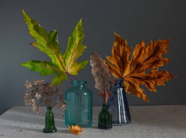 Sonbahar yaprakları ile natürmort. Doğa, Minimalizm.