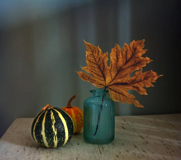 Nature Morte Avec Citrouille Feuilles Automne Vintage Citrouille Décorative — Photo