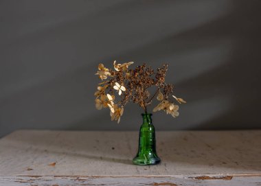 Kurutulmuş çiçekli natürmort. Vintage minimalizm.