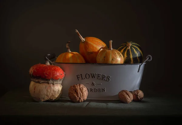 Nature Morte Avec Des Noix Citrouille Des Plats Vintage Rétro — Photo