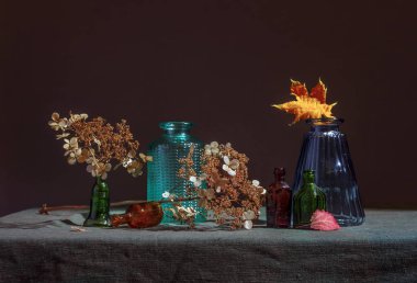 Kurutulmuş bitkiler ile natürmort. Vintage. Retro. Minimalizm.