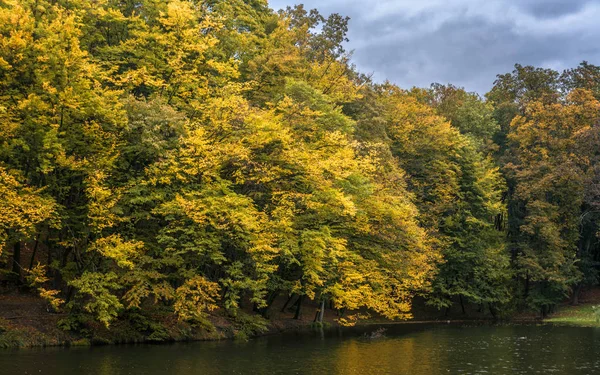 Num Lago Bela Natureza Cores Outono Relaxamento — Fotografia de Stock