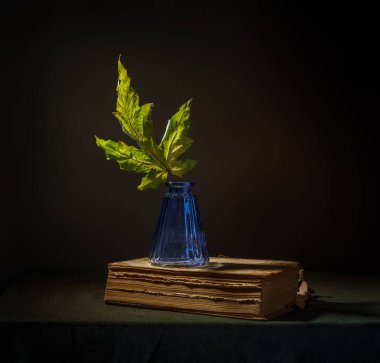 akçaağaç ve bir kitap bir levha ile natürmort. Vintage. minimalizm.