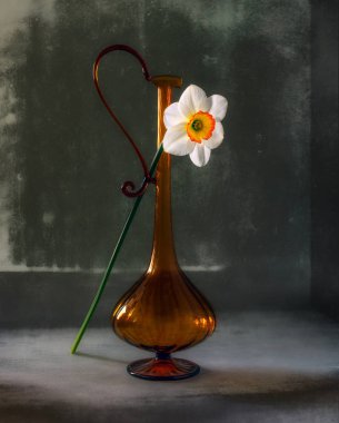 Bir çiçek ve sürahi ile natürmort. Nergis. Minimalizm. Vintage.