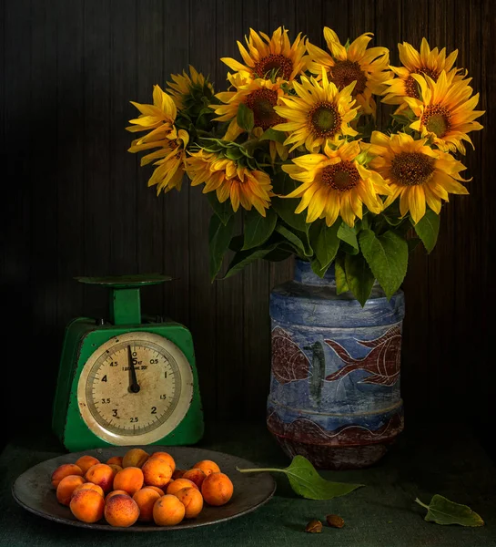 Stillleben Mit Einer Sonnenblumenblüte Aprikosen Und Alten Schuppen Schöner Strauß — Stockfoto