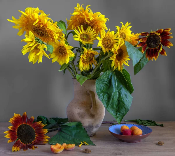 Stillleben Mit Einer Sonnenblumenblüte Und Aprikosen Schöner Strauß Sonnenblumen Reife — Stockfoto