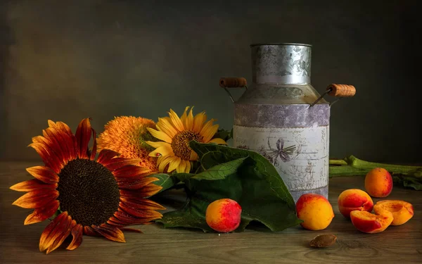 Stillleben Mit Einer Sonnenblumenblüte Und Aprikosen Schöner Strauß Sonnenblumen Reife — Stockfoto