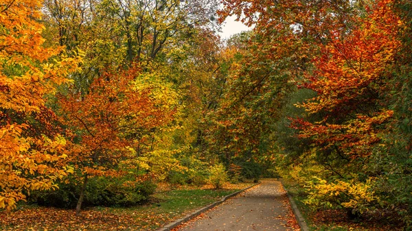 Herbst Alten Park Herbstlandschaft Die Farben Des Herbstes — Stockfoto