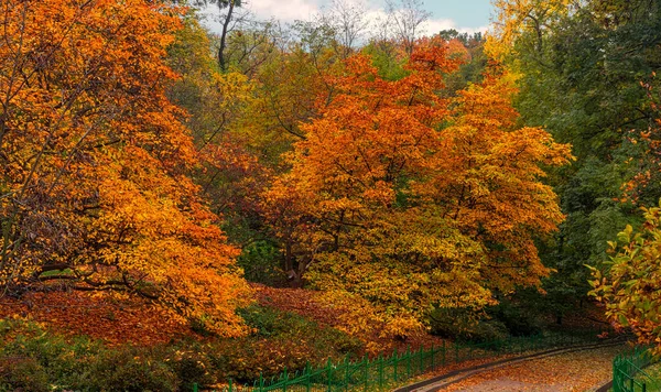 Podzim Starém Parku Podzimní Krajina Podzimní Barvy — Stock fotografie