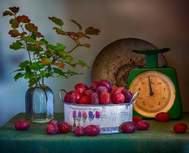 Olgun eriklerle, yaşlı ağırlıklarla ve güzel yapraklarla dolu dallarla dolu bir hayat. Eski.