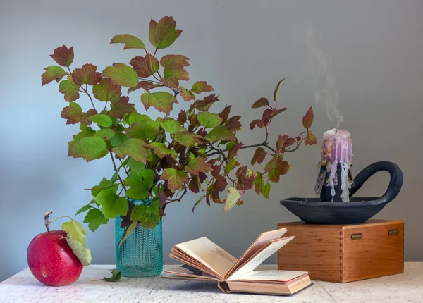 Stillleben Mit Zweigen Mit Schönen Blättern Einem Offenen Buch Einer — Stockfoto