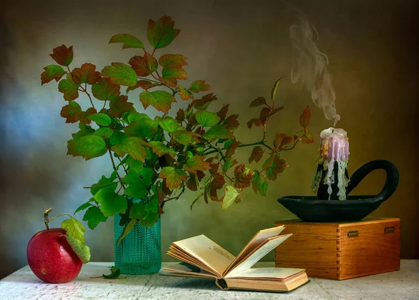 Still Life Branches Beautiful Leaves Open Book Extinguished Candle Apple — Stock Photo, Image