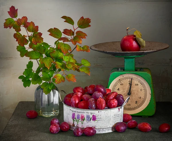 还有成熟的李子 红色的苹果 古老的重量和枝条 还有美丽的叶子 — 图库照片