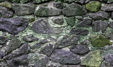 Kabartmalı duvar dokusu. Yeşil çiçekli bir mason. Soyut arkaplan