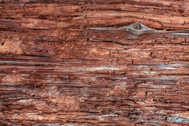 Eski ahşap bir tahtanın yakın çekim görüntüsü. Buruşuk ağaç gövdesi ve biraz da düğüm. Geçmişi. Doku.