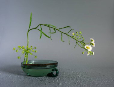 Minimum sayıda bitkiyle çiçek aranjmanı. İkebana. Minimalizm.