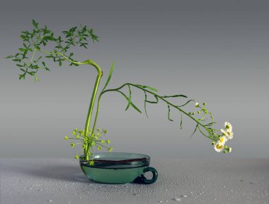 Minimum sayıda bitkiyle çiçek aranjmanı. İkebana. Minimalizm.