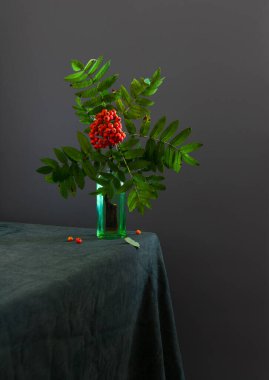 Küçük bir vazoda kırmızı böğürtlen ve yeşil yapraklı Rowan dalı. Minimalizm. Durgun hayat.