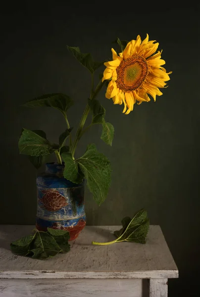 Still Life Beautiful Sunflower Vintage Minimalism — Stock Photo, Image
