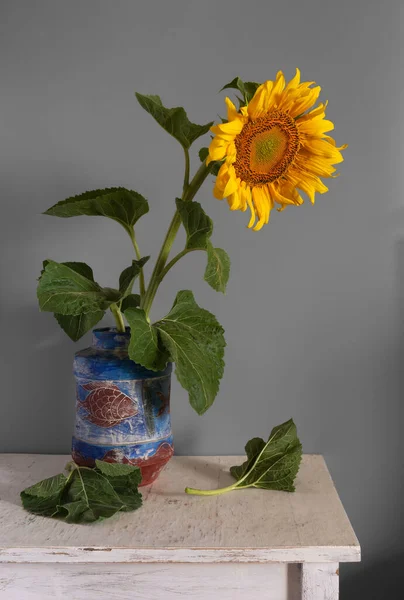 Bodegón Con Hermoso Girasol Vintage Minimalismo — Foto de Stock