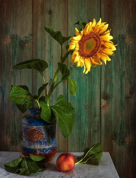 Still Life Blooming Sunflower Nectarine Vintage Minimalism — Stock Photo, Image