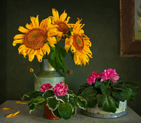 Csendélet Gyönyörű Napraforgókkal Virágzó Ibolyákkal Vintage Fényvisszaverő — Stock Fotó