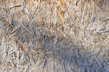 Talaştan yapılmış eski bir tahta. Geçmişi. Grafiksel kaynaklar.