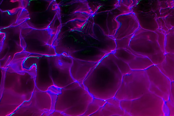 Soyutlama. Fraktallar. Geçmişi. Grafiksel kaynaklar.