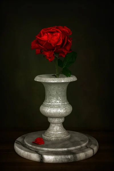 Rosa Vermelha Vaso Mármore Branco Minimalismo Ainda Vida — Fotografia de Stock
