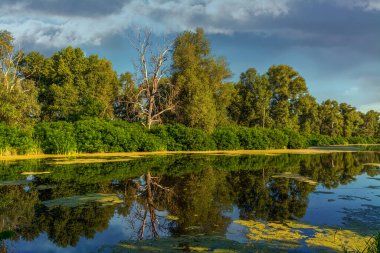 Ormanla çevrili bir göl. Ağaçlar suya yansıyor..