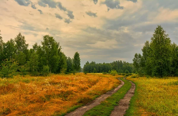 Scenic Road Runs Meadows Forest Countryside Hiking — Stock Photo, Image
