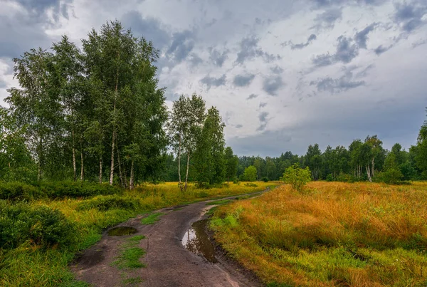 Malebná Cesta Která Vede Loukami Lesem Venkov Turistika — Stock fotografie