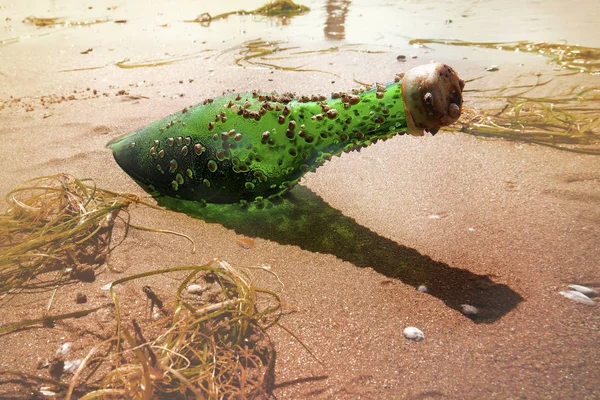 Garrafa velha na areia na praia — Fotografia de Stock