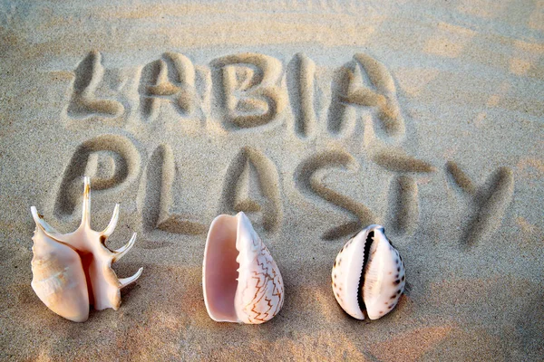 Sea shell in the form of female genitalia, vagina, inscription on the sand labiaplasty. female beauty concept — Stock Photo, Image
