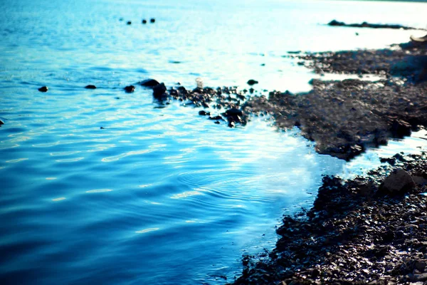 Rive Lac Pollué Réservoir Pollué Par Société Norilsk Nickel Concept — Photo