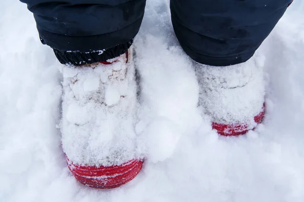 shoes in the snow. Walking in the snow