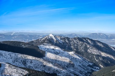 Kaya zirvesi Karanlık Orman Vadisi 'nin üzerinde yükseliyor