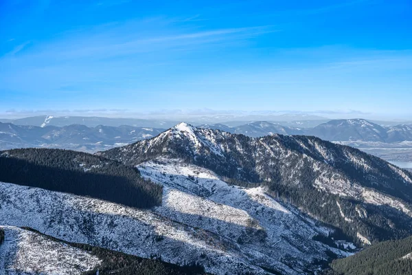 Kaya zirvesi Karanlık Orman Vadisi 'nin üzerinde yükseliyor
